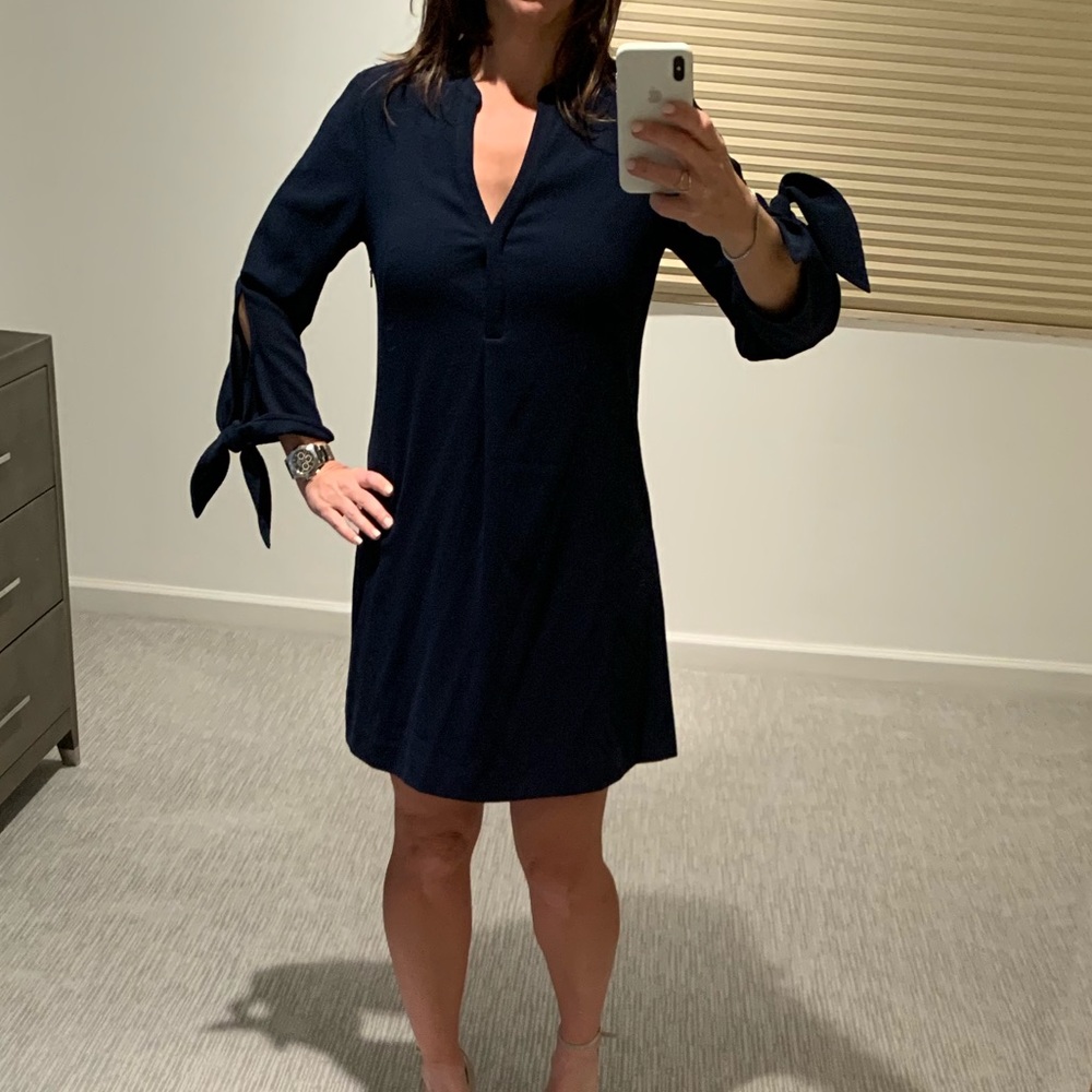 Whistles dress